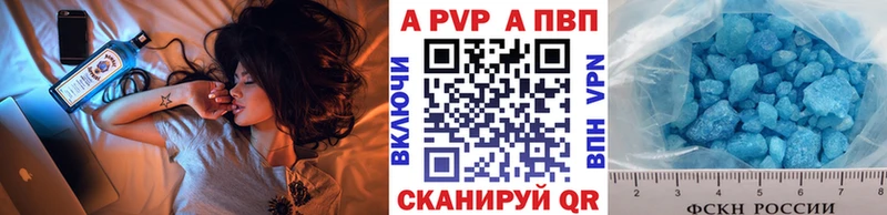 omg сайт  Кингисепп  Альфа ПВП СК КРИС 