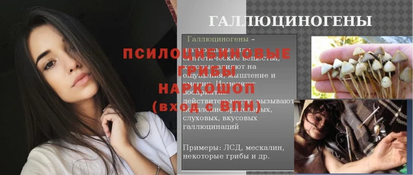 ГАЛЛЮЦИНОГЕННЫЕ ГРИБЫ Богданович